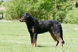 BEAUCERON 828